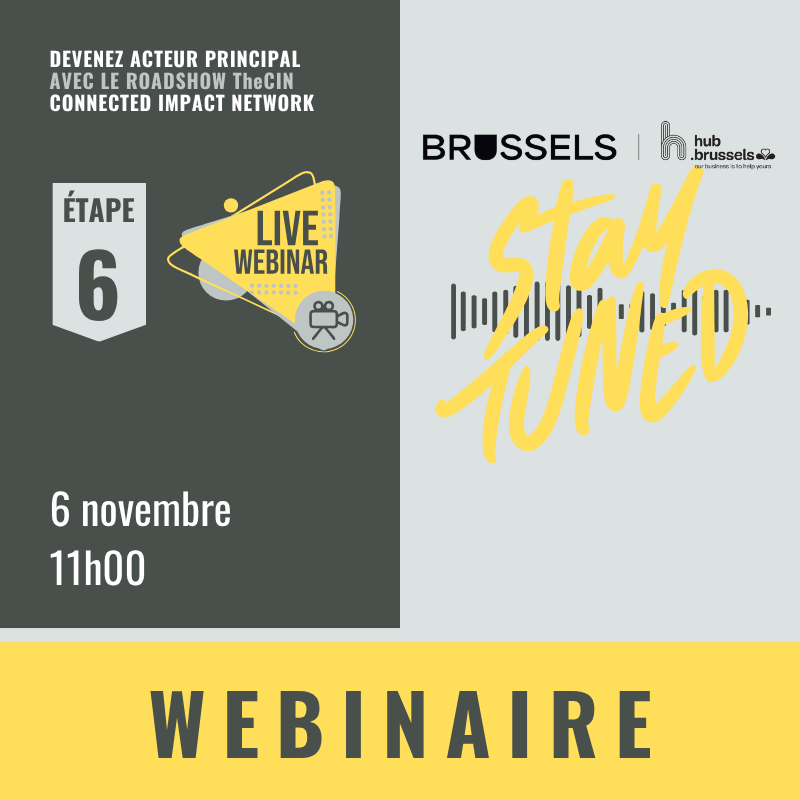 FR Bruxelles 6 TheCIN par UP2gether 6 novembre Guglielmo Pisana hub.brussels avec Barbara de Siena